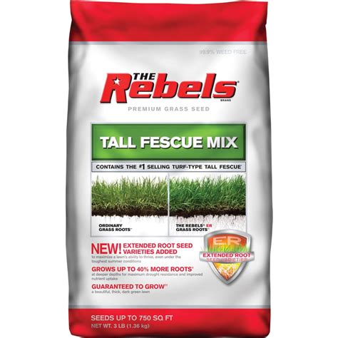 Rebel Premium 3 Lb Tall Fescue Grass Seed At