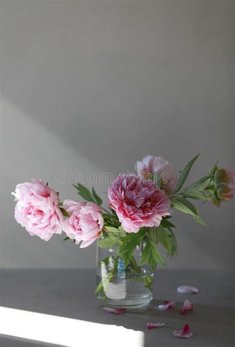 Pastel Pink Peony Flowers Bouquet In A Glass Vase On Wooden Table