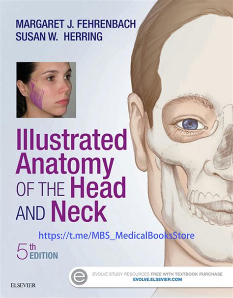 Illustrated Anatomy Of The Head And Neck 6th Edition Inspire Uplift