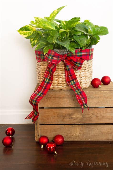 5 Ways To Decorate For The Holidays With Plants Stacy Risenmay