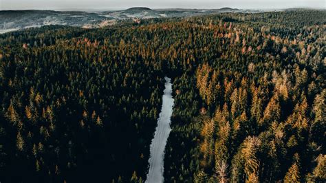Aerial View Of River Between Long Green Trees Covered Forest Hd Nature