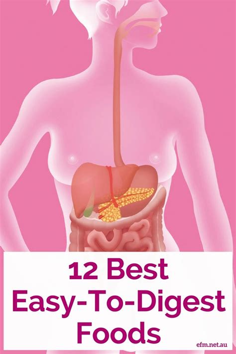 digestion issues try these 12 easy to digest foods efm health clubs easy to digest foods