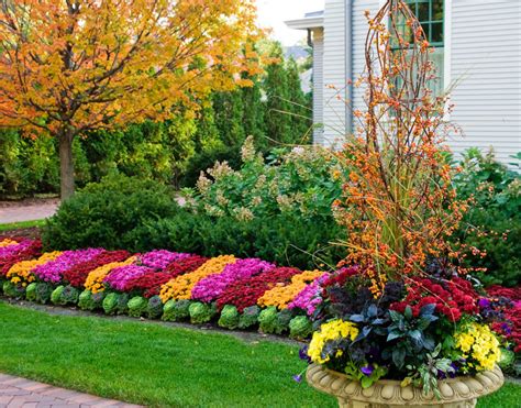 Fall Flower Beds Contemporary Landscape New York By Peter