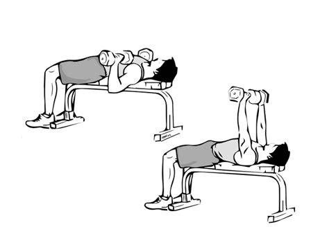 Physical Fitness Drawing At Getdrawings Free Download