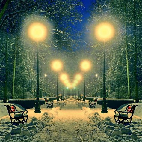 Winter park wieczorem pokryte śniegiem z rzędem świateł 44766101 ...