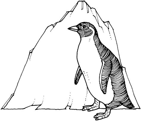 Penguin Line Drawing At Explore Collection Of