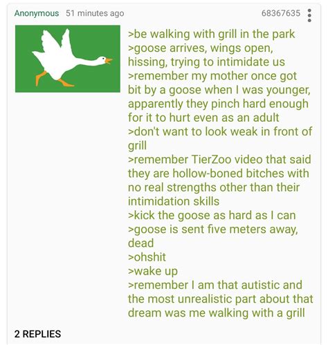Anon Sees A Bird R Greentext Greentext Stories Know Your Meme