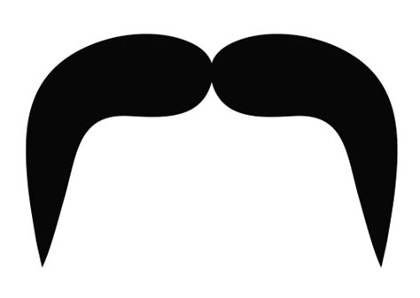Moustache Png Transparent Image Download Size 500x356px