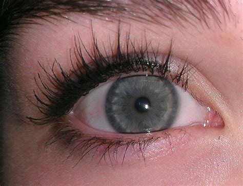 Greybluegreen Eyes And Some Long Eye Lashes Pretty Eyes Color