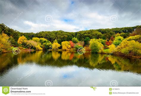 Colorful Autumn Landscape With Reflections Stock Image Image Of