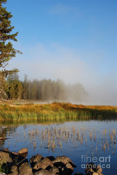 Marsh And Mist Photograph By Michelle Myers Fine Art America