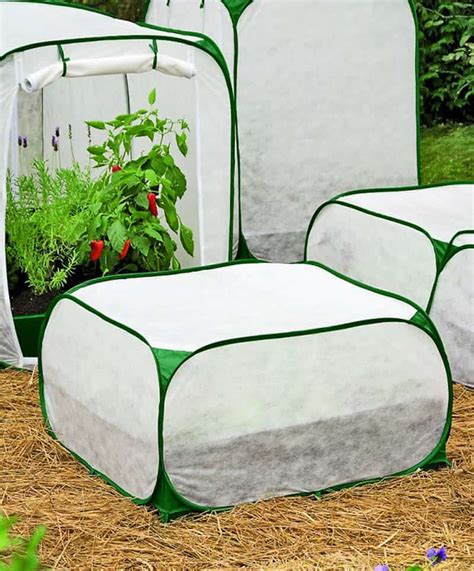 What plants are good for protection. Frost Protection Fabrics: Tips To Protect Plants and Trees ...