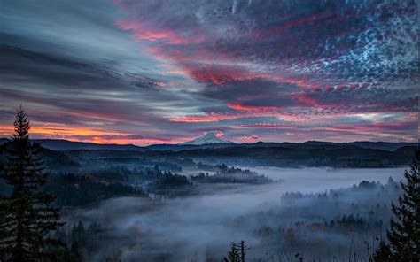 Wallpaper 1300x812 Px Blue Clouds Forest Landscape Mist