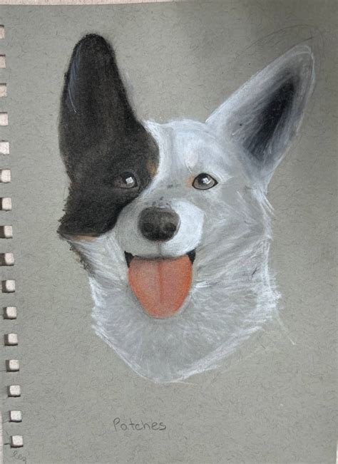 Charcoal Dog Drawing By Flyingfoxart100 On Deviantart