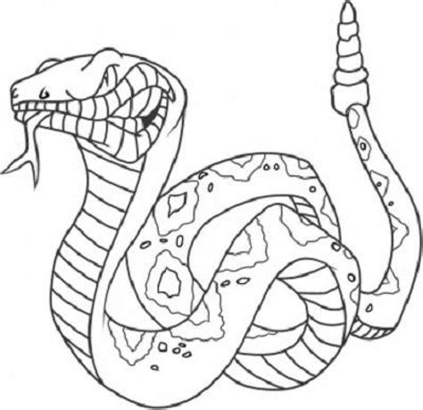 King Cobra Coloring Pages Coloring Home