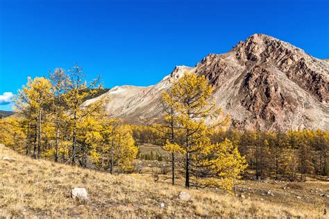 Baikal Mountains Why The Place Is Worth Visiting