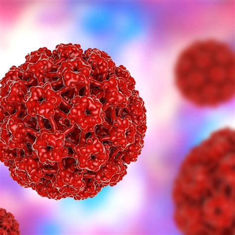 ¿cuantas Personas Tienen El Virus Del Papiloma Humano Vph Hpv