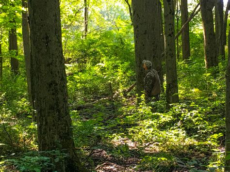 For The First Time In 67 Years Indiana Establishes New State Forests