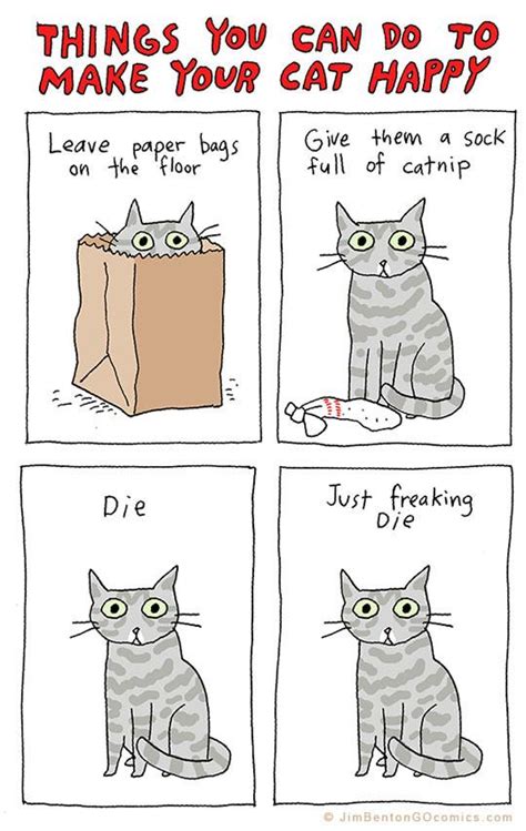Things You Can Do To Make Your Cat Happy
