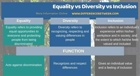 Explain Difference Between Equality Diversity And Inclusion Annabel