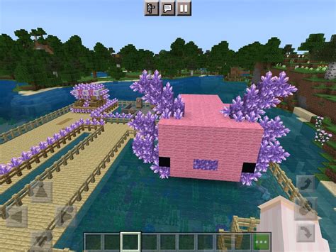 Made A Axolotl House Minecraft