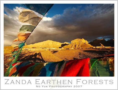 Tibet Zanda Earthen Forests Tibet Forest Abstract Artwork