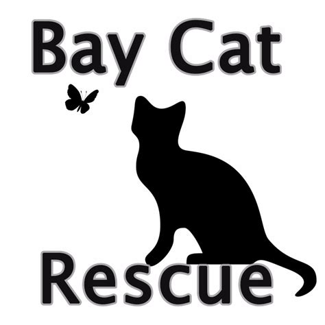 San francisco peninsula and south bay. Bay Cat Rescue Fundraising | Easyfundraising