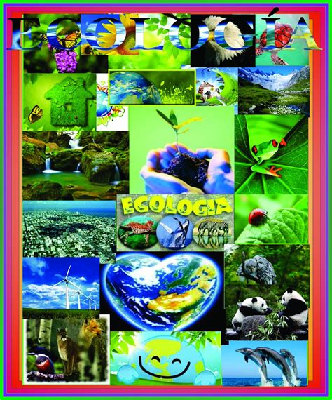 Ecología Carteles Del Medio Ambiente
