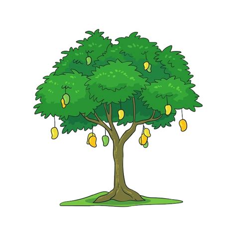 Mango Tree Vectors And Illustrations For Free Download Freepik