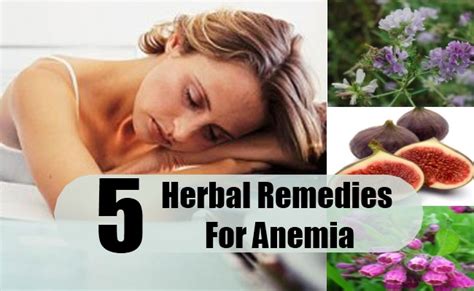 5 Anemia Herbal Remedies Natural Treatments And Cure Herbal Supplements