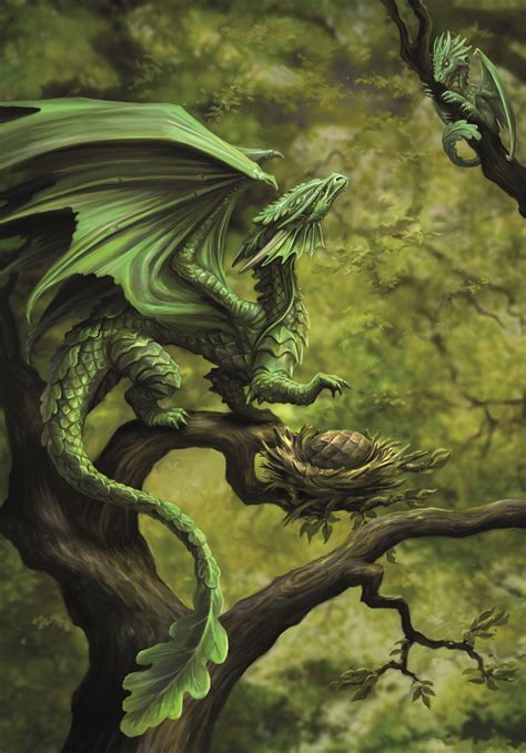 Drachen Grußkarte Forest Dragon Anne Stokes Figuren Shopde