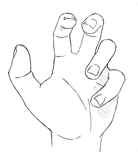 Drawing Lessons How To Draw A Hand Clenched Fist And Open Palm