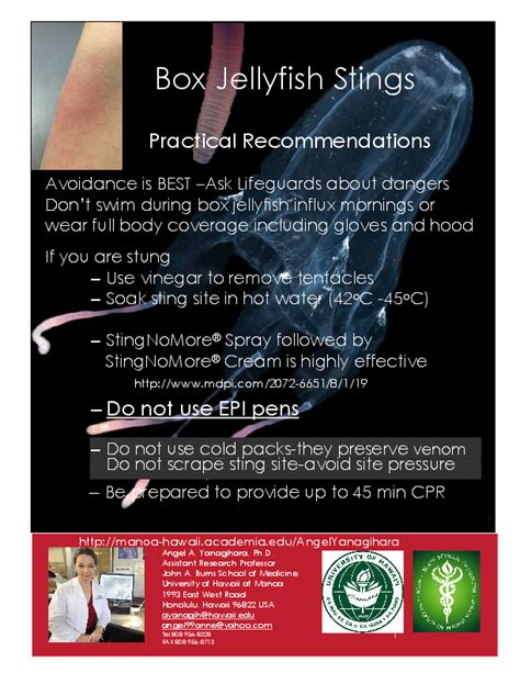 Pdf Box Jellyfish Sting Practical Recommendations Angel Yanagihara