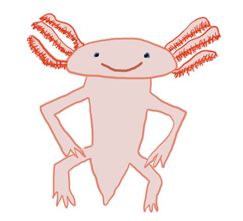 Animal jam, free and safe download. How to Draw a Stick Animal - The Stick Guy