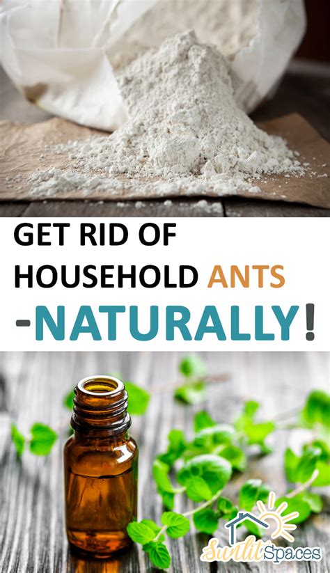 Save your orange, lemon and grapefruit peels and scatter them around entry points. Get Rid of Household Ants-Naturally! - Sunlit Spaces | DIY Home Decor, Holiday, and More