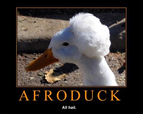 Plus613 Culture In The Blender Afro Duck