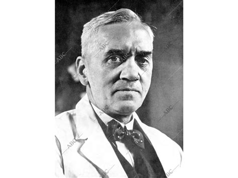 Retrato Del Descubridor De La Penicilina Alexander Fleming Archivo Abc