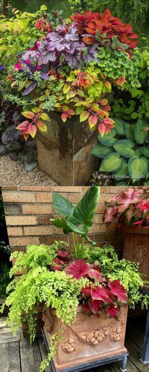 16 Colorful Shade Garden Pots And Plant Lists Garden Plant Pots Garden