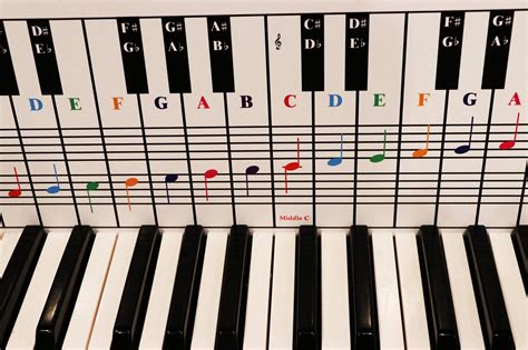 Buy Piano And Keyboard Note Chart Use Behind The Keys Ideal Visual