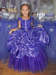 Purple Taffeta Embroidered Cinderella Dress