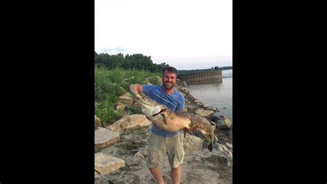Caught A Massive Mississippi River Catfish Youtube
