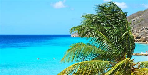 5 dingen die u moet weten over Curaçao | ABC Resort Curaçao