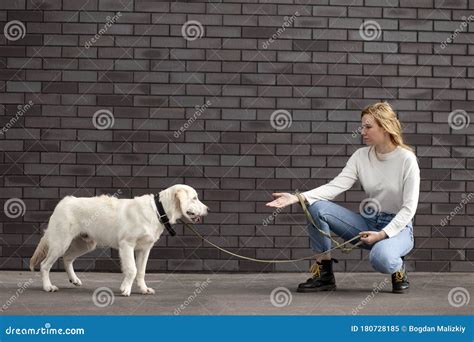 Young Urban Girl Sitting With A Dog On The Street Against The