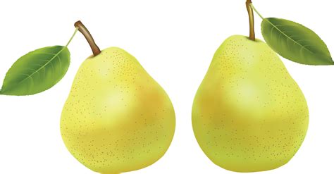 Pear Png Image Transparent Image Download Size 3534x1849px