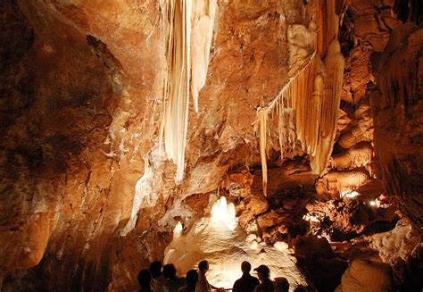 These are the four most spectacular caves in NSW | Blog - NSW National ...
