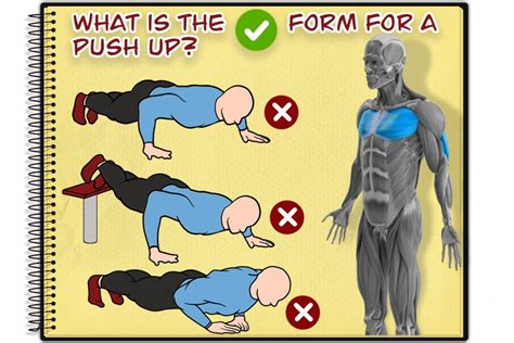 Push Ups Proper Form In Simple Steps Graduate Fitness