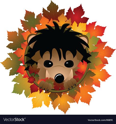 Hedgehog And Autumn Leaves Royalty Free Vector Image