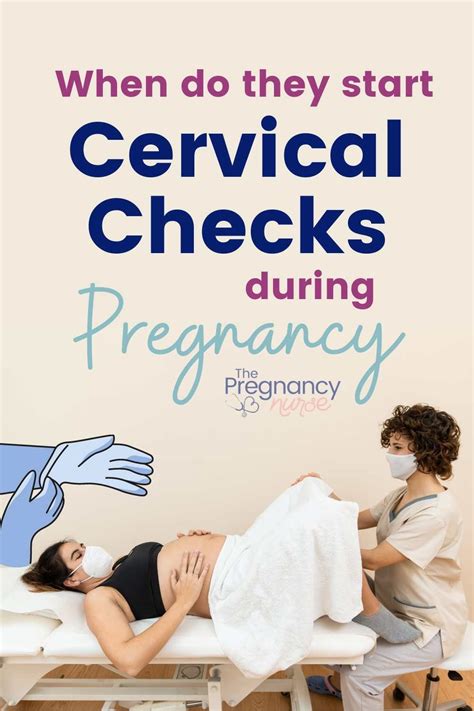 When Do Cervical Checks Start In Pregnancy The Pregnancy Nurse