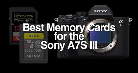 Best Memory Cards For The Sony A7s Iii Justin Punio