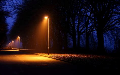 Wallpaper Sunlight Trees Landscape Lights Street Light Night Nature Plants Road